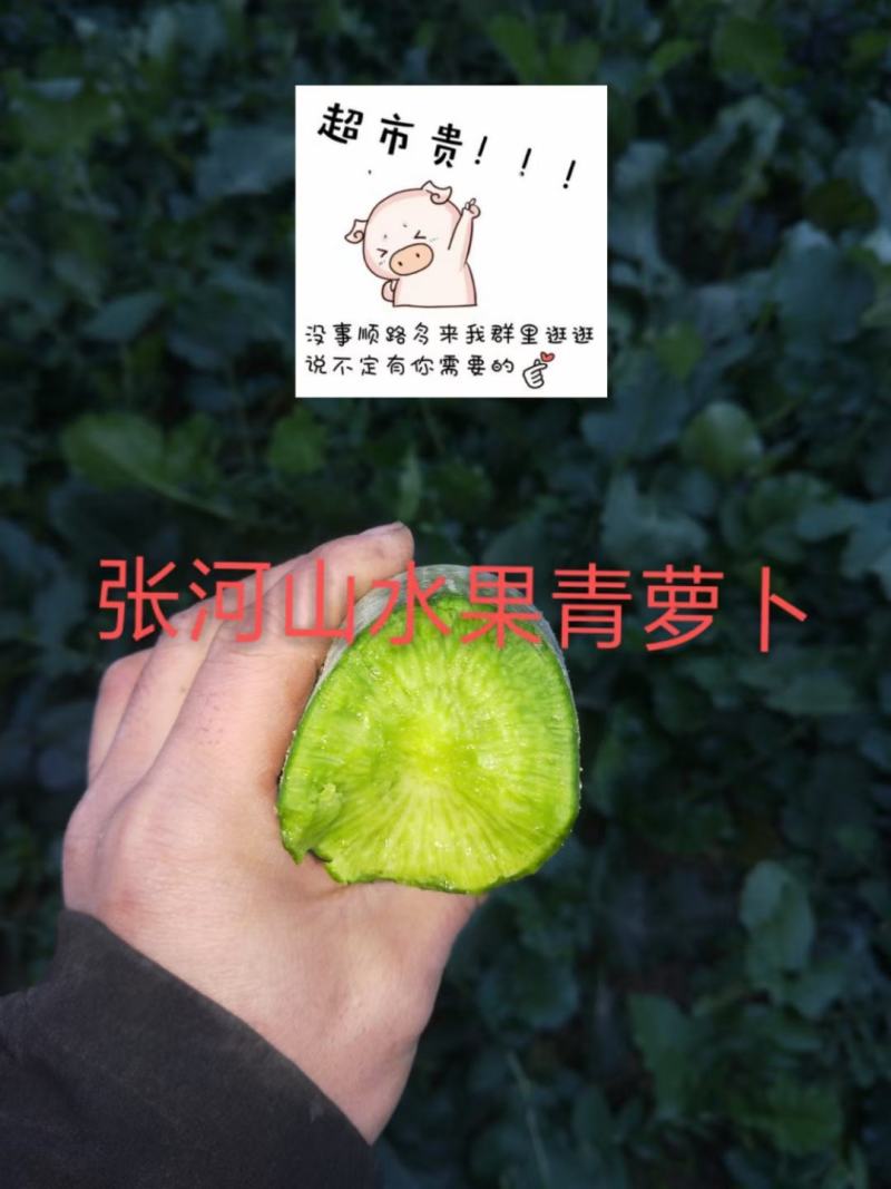 水果青萝卜