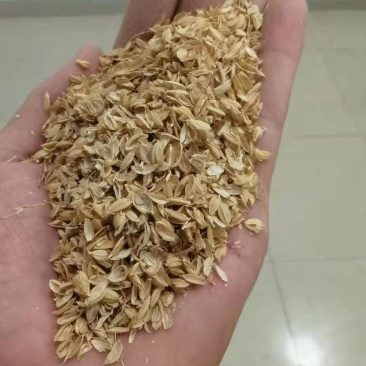 四川出售压缩稻壳