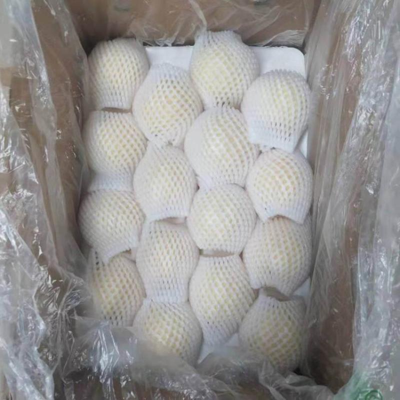 皇冠梨，产地一手货源，质量保证，对接大型批发商