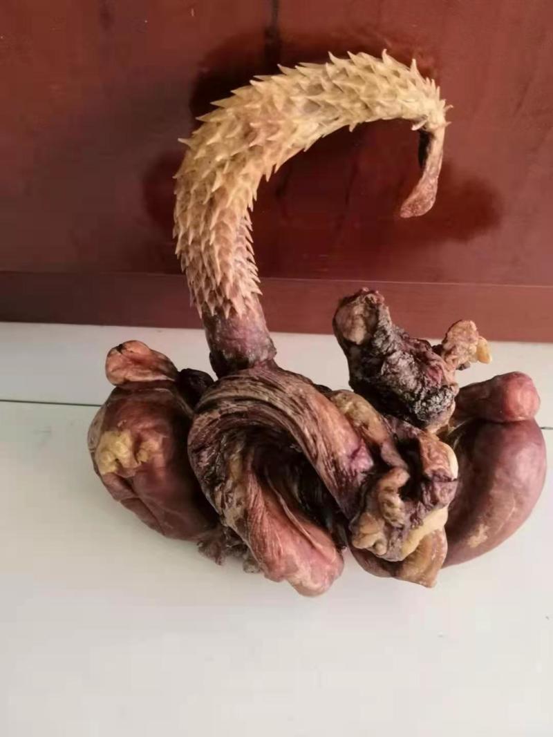 各种鞭狗鞭狗肾黑狗鞭35厘米左右各种规格欢迎进店