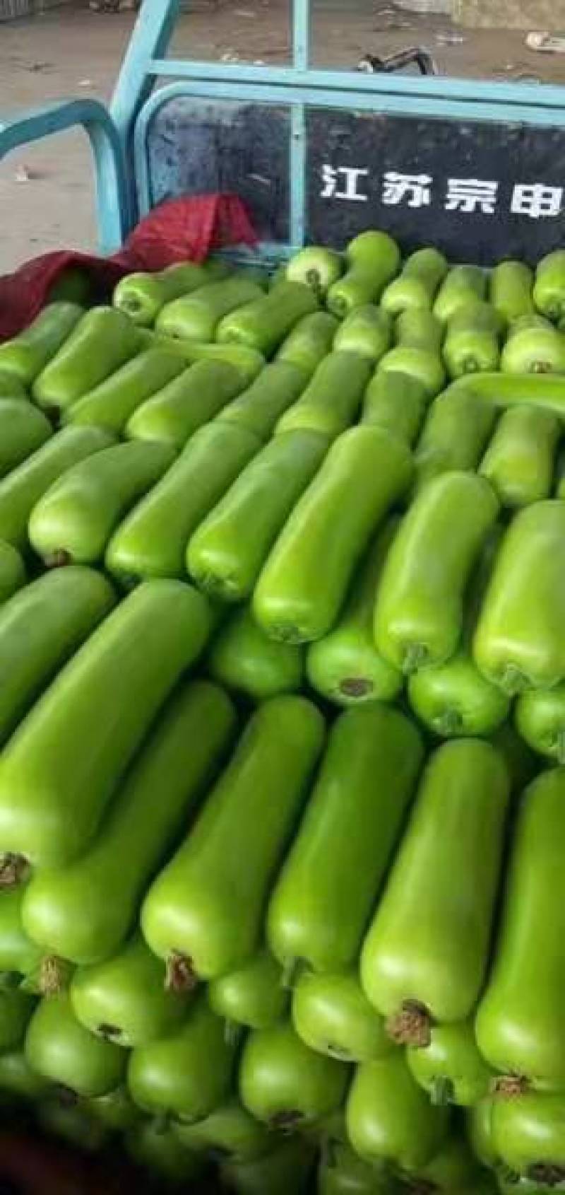 瓠瓜精品瓠瓜大量现货供应各种包装可供商超