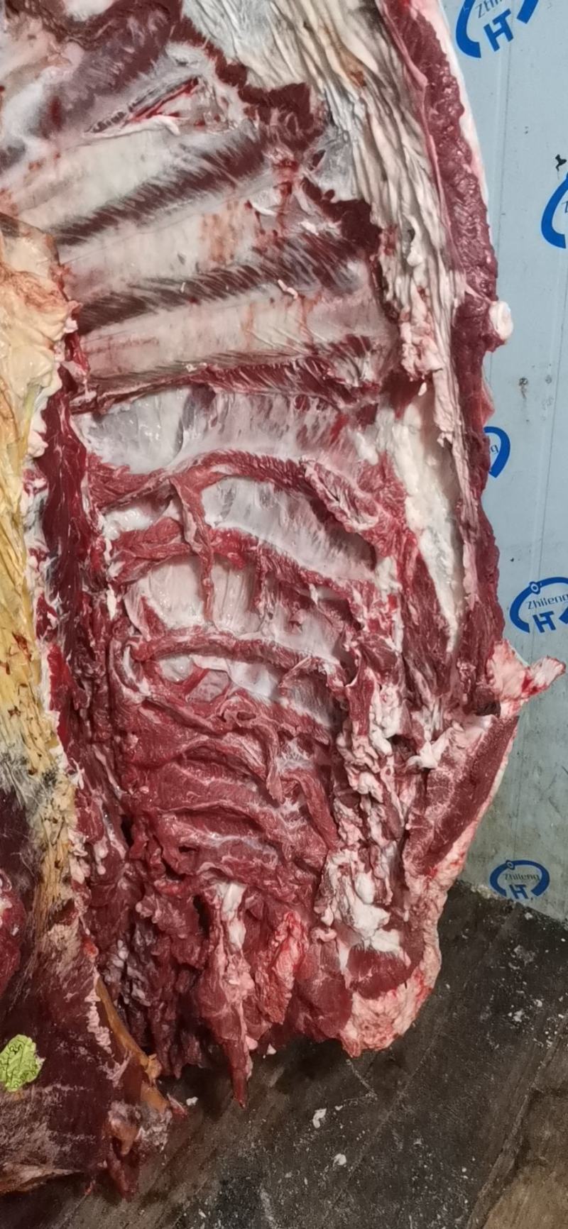 现场实拍图纯鲜黄牛肉，肉质好，价格优惠，油少，肉瘦度好，