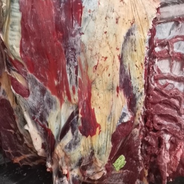 现场实拍图纯鲜黄牛肉，肉质好，价格优惠，油少，肉瘦度好，