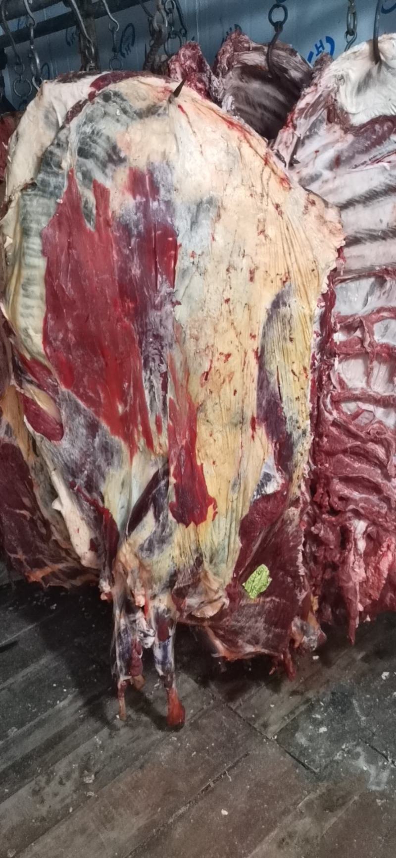 现场实拍图纯鲜黄牛肉，肉质好，价格优惠，油少，肉瘦度好，