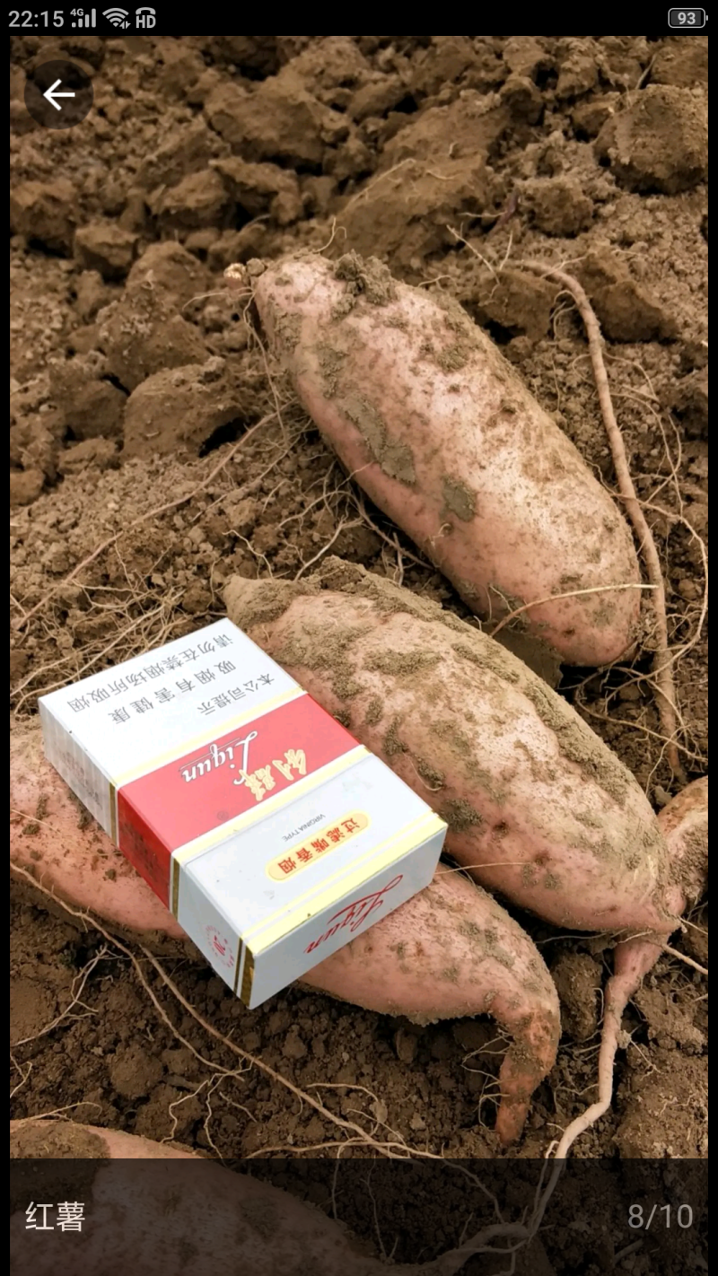 开封祥符区万隆乡纯沙地红薯