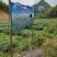 广西五彩椒基地供货量大稳定价格实惠