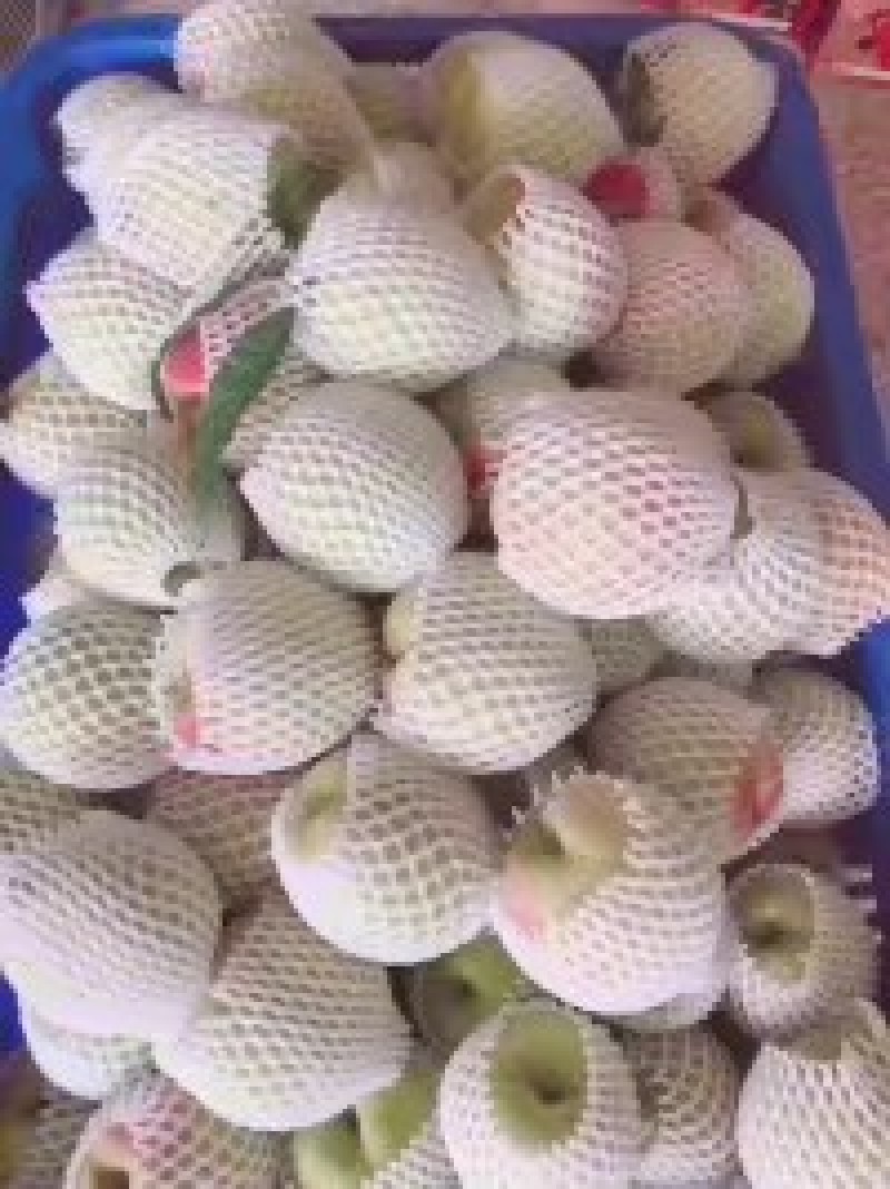 鹰嘴蜜桃