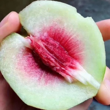 鹰嘴蜜桃