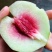 鹰嘴蜜桃