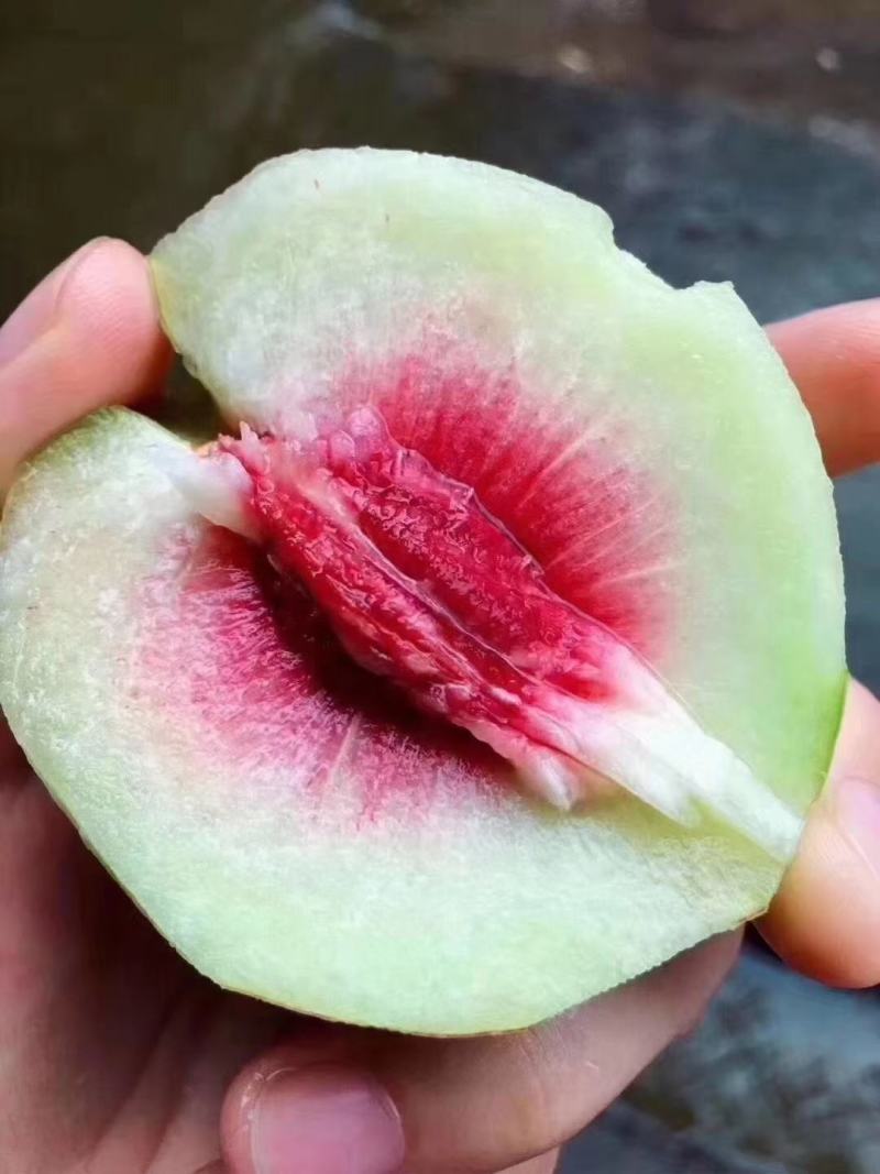 鹰嘴蜜桃