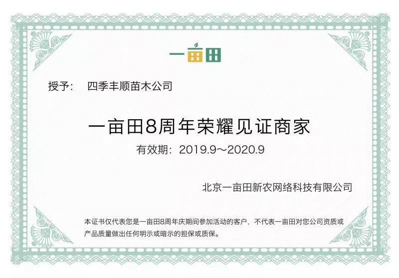 【原产地大果型】凤凰李苗/五月脆李子苗/早熟李树苗现挖苗