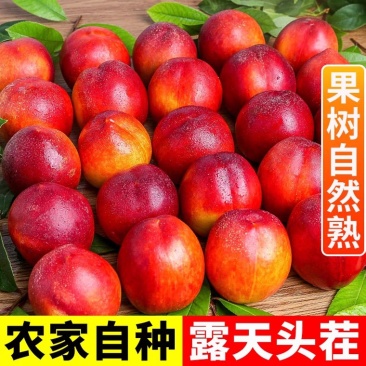 产地直销，正宗黄心油桃，清甜脆口，质量好，一件代发，包邮