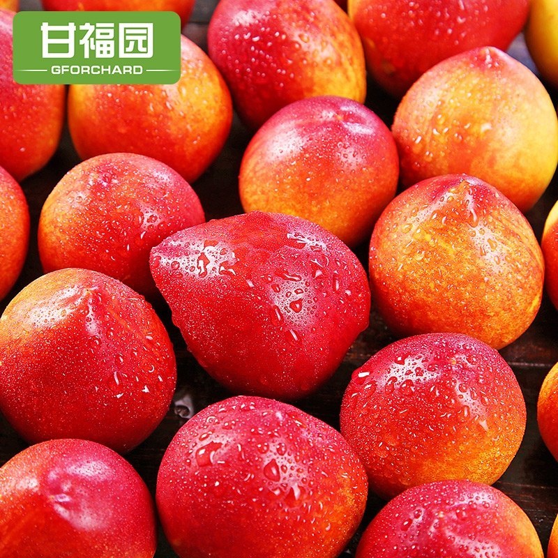 产地直销，正宗黄心油桃，清甜脆口，质量好，一件代发，包邮