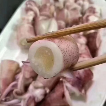 带子母鱿鱼/母鱿鱼/鱿鱼/鱿鱼管，全国发货