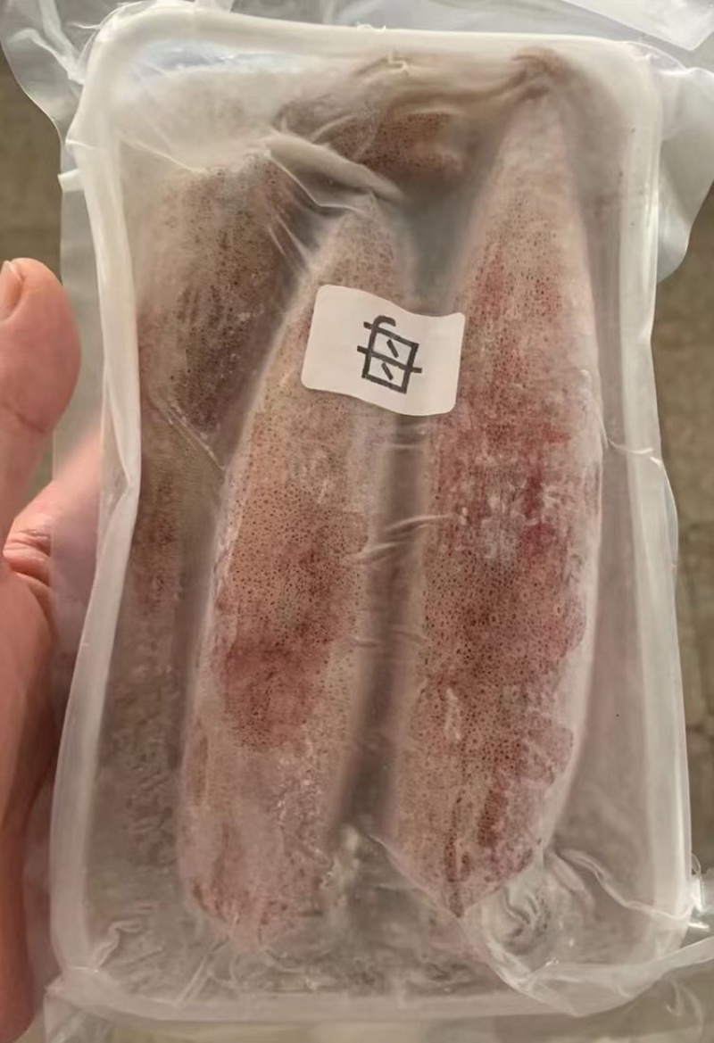 带子母鱿鱼/母鱿鱼/鱿鱼/鱿鱼管，全国发货