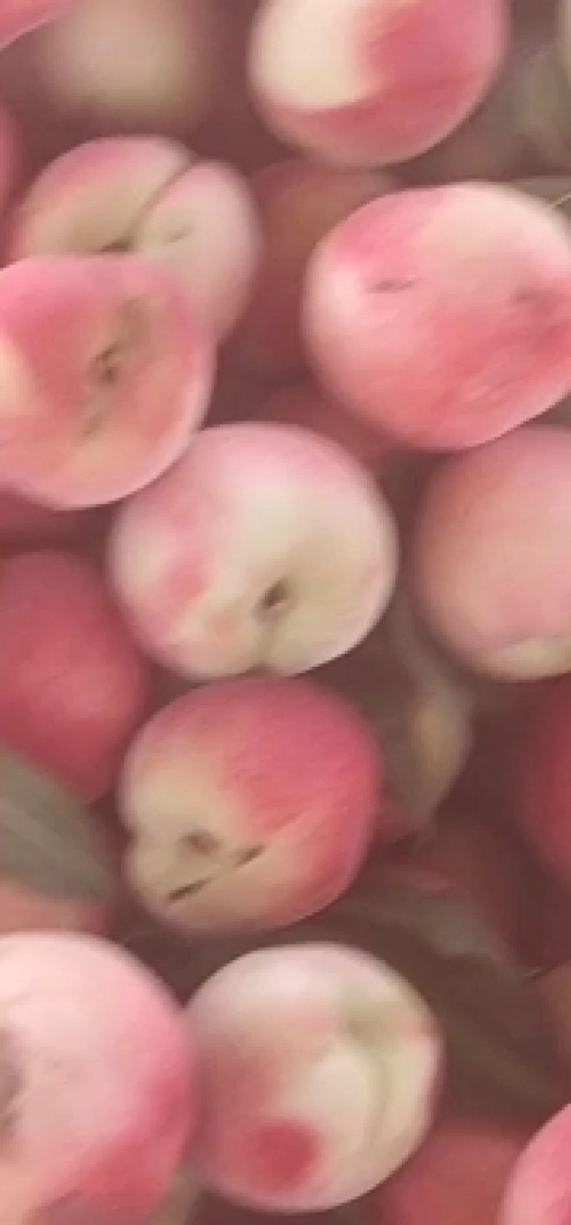 桃子