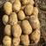 辽宁省凌海市希森土豆大量现货，气毛亮，薯型好！