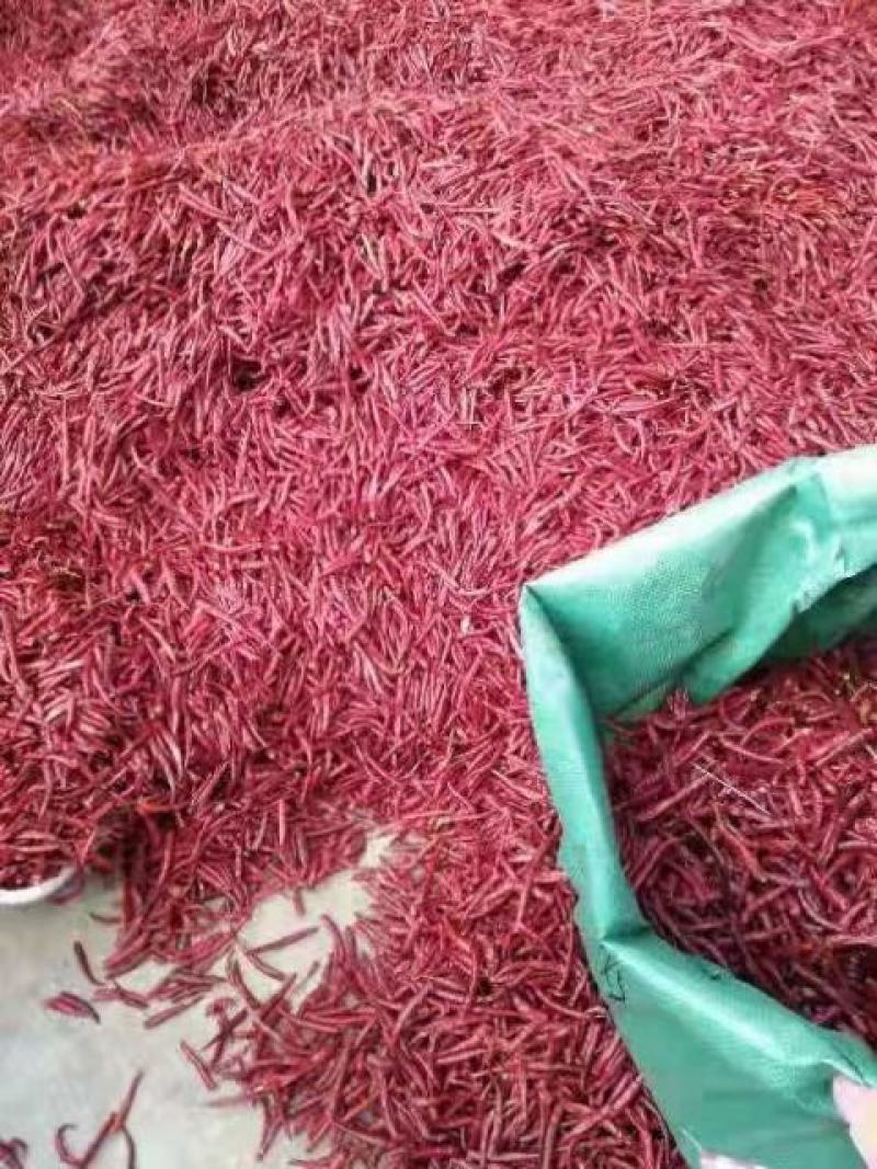 云南丘北鲜干辣椒特价优惠，量大从优，全国批发发货。