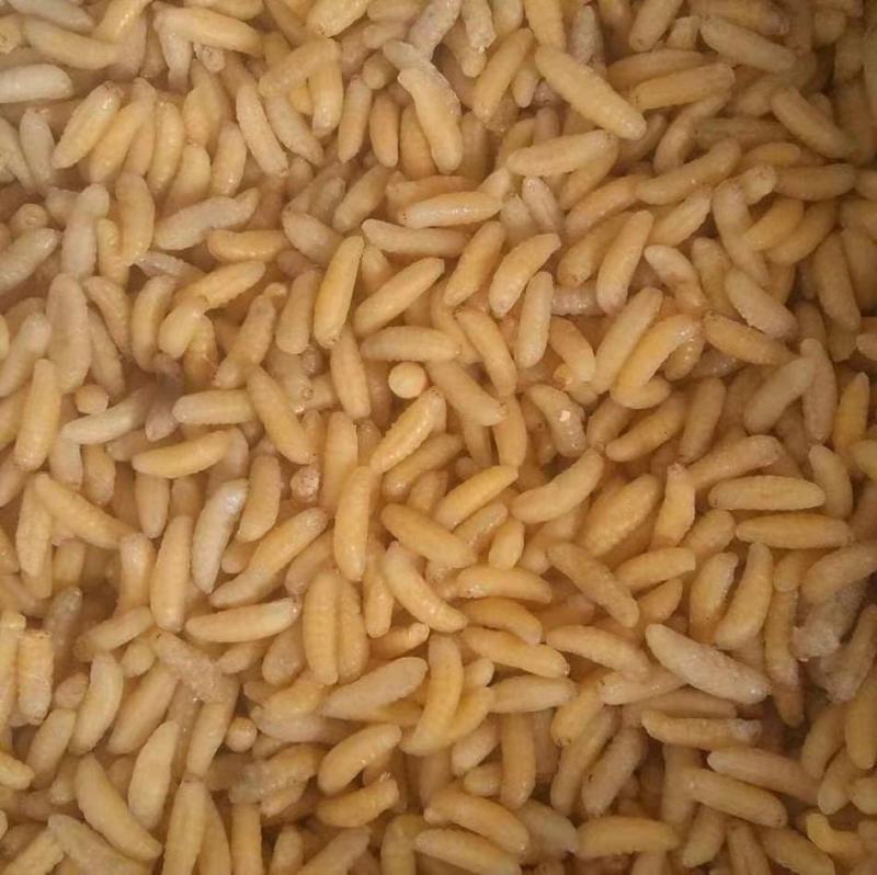 蜂蛹