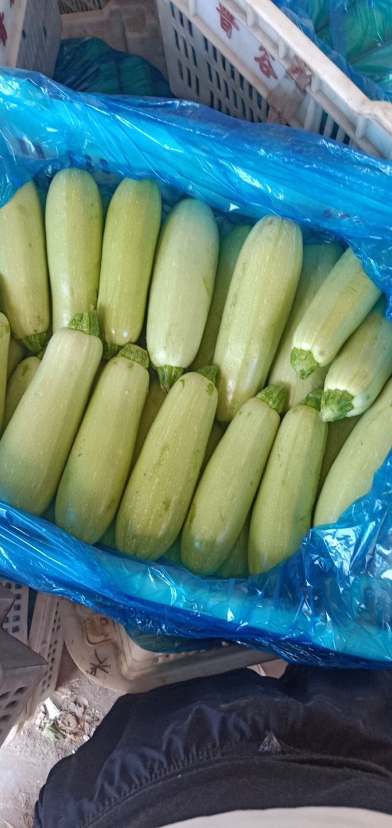 绿皮西葫芦