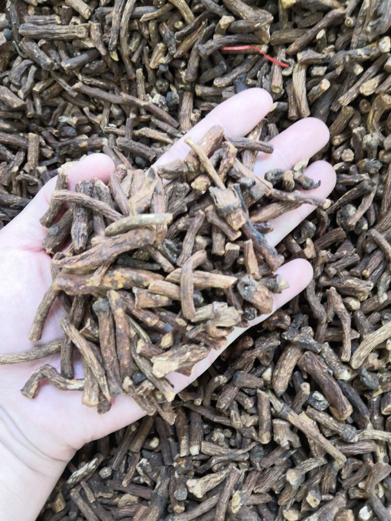 无硫蒲公英根新货产地直供量大从优各种花茶