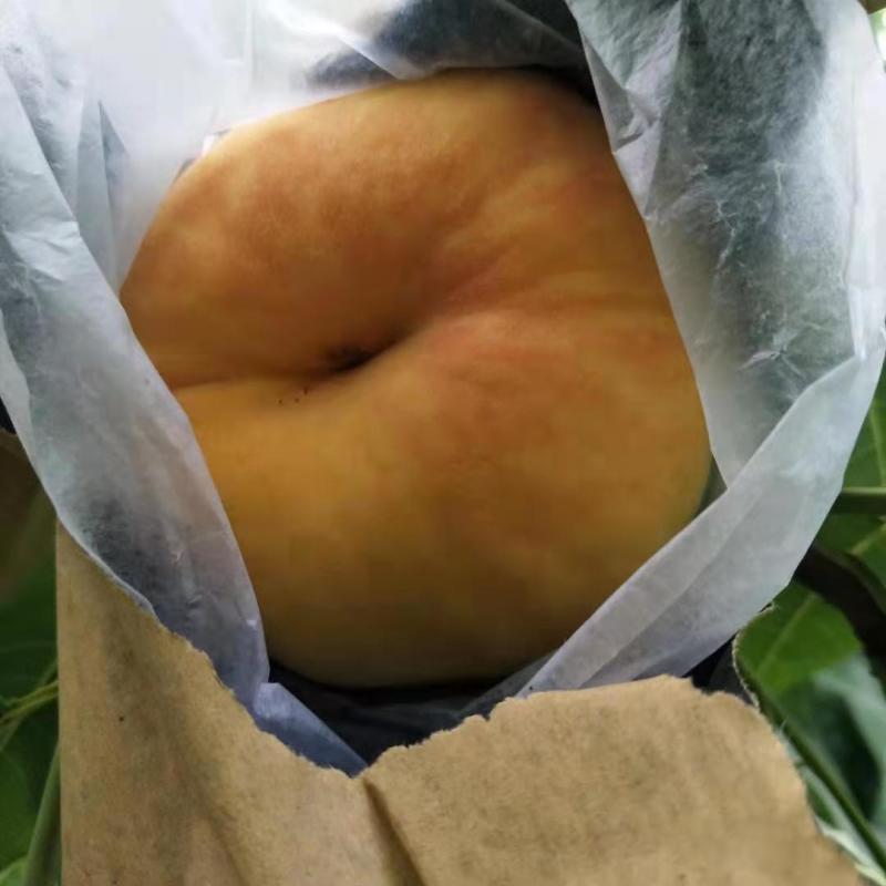 蟠桃