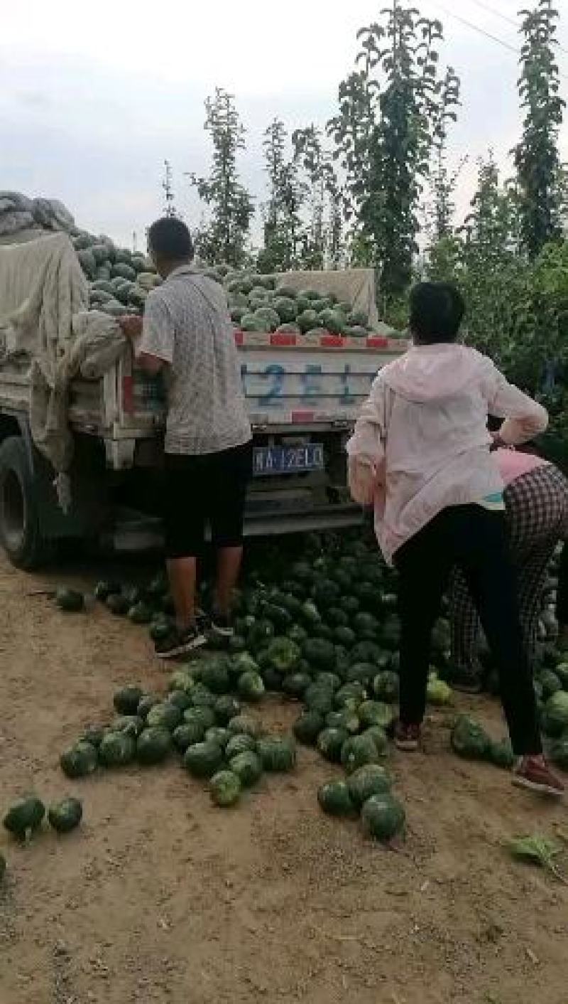 板栗南瓜。
