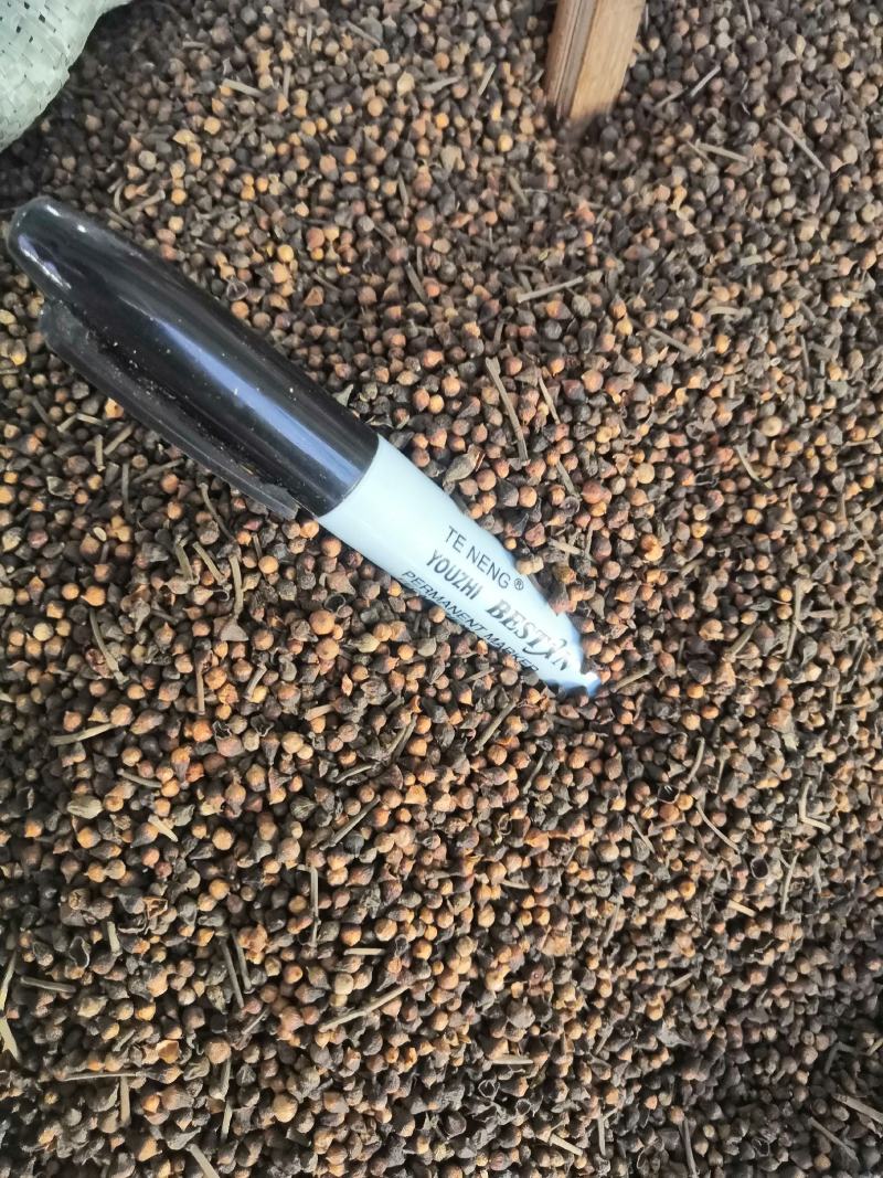 野生冷背中药材水翁花无硫质量非常好批发零售