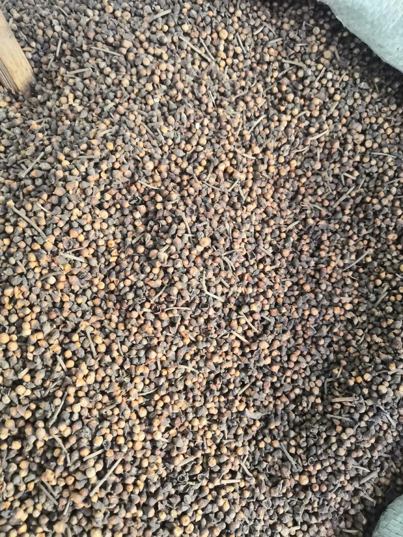 野生冷背中药材水翁花无硫质量非常好批发零售