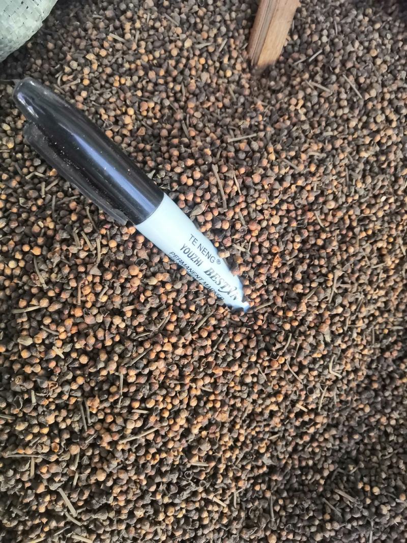 野生冷背中药材水翁花无硫质量非常好批发零售