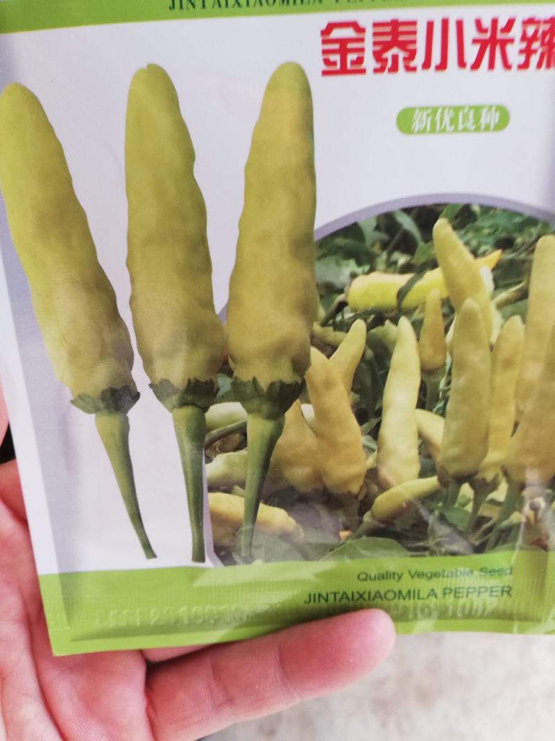 小米椒