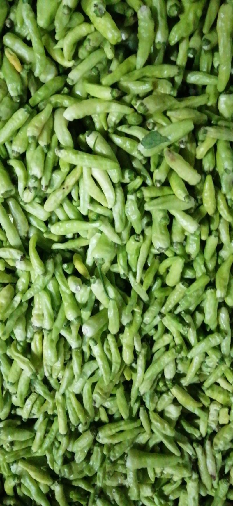 小米椒