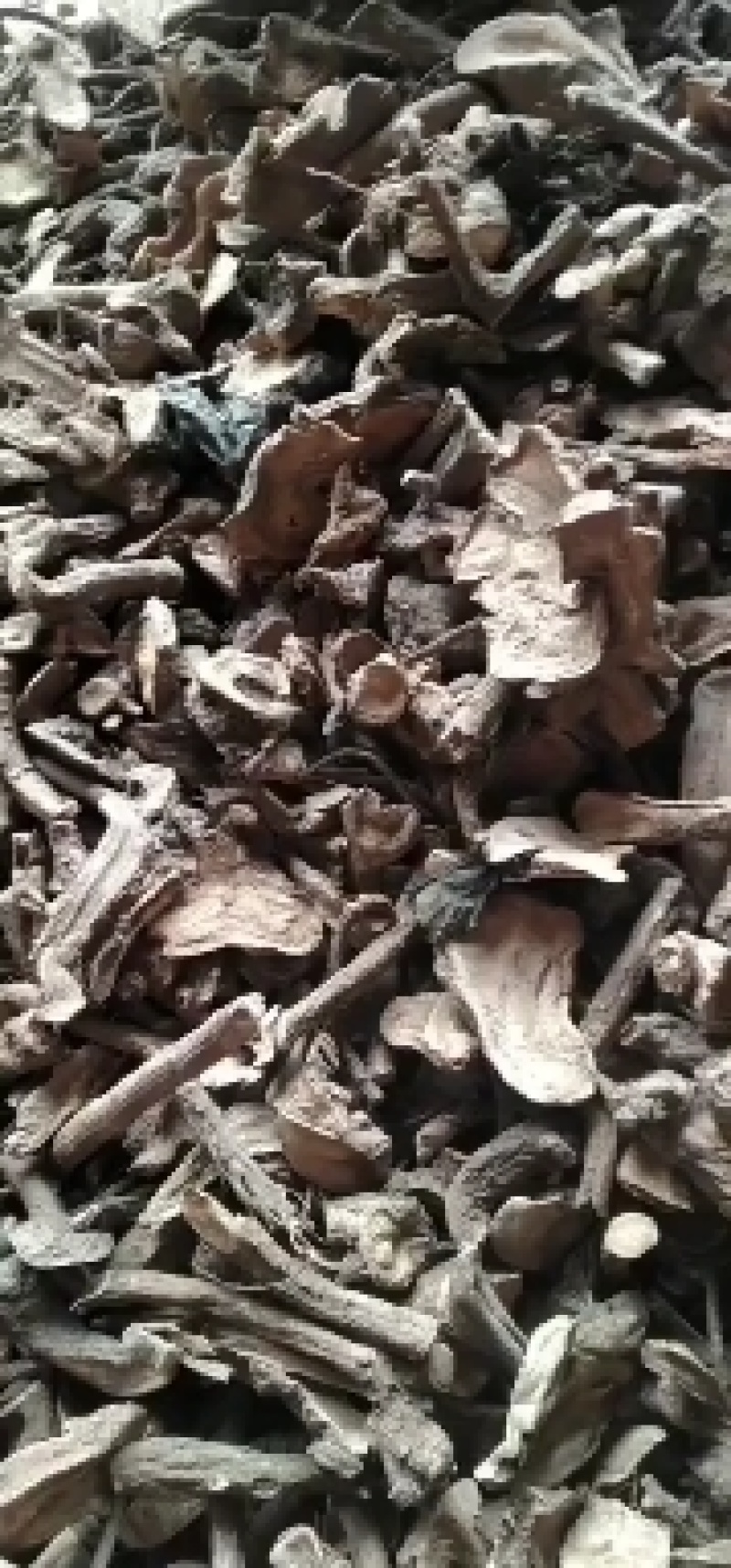 中药材