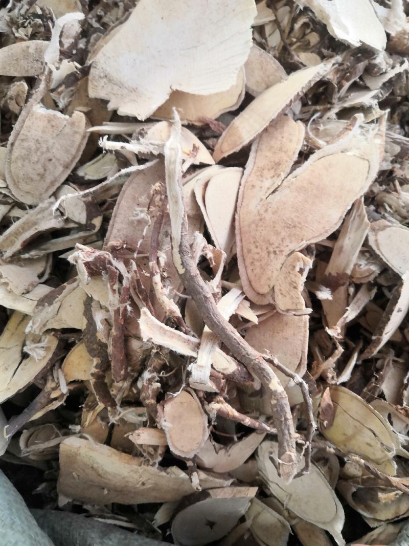 野生冷背中药材了哥王枝了哥王根批发零售