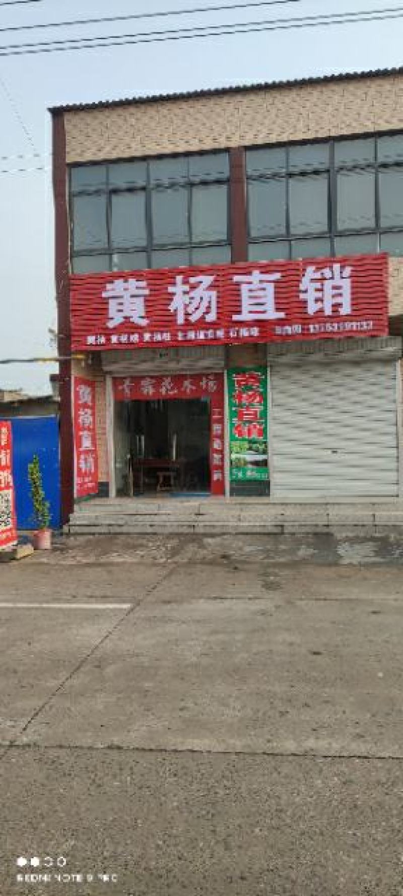 大叶黄杨
