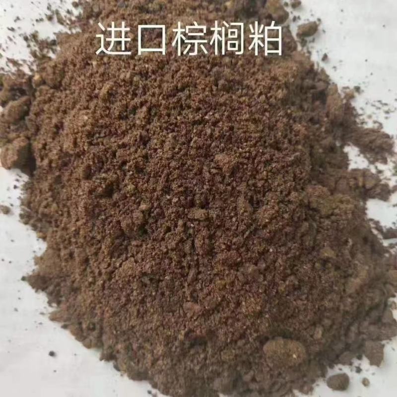 厂家直销棕榈粕猪牛羊饲料进口棕榈粕质量保证量大从