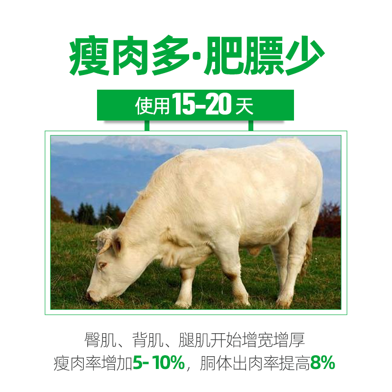 增强牛胃动力，促进反刍，调理肠胃，健胃增食，顺气消涨