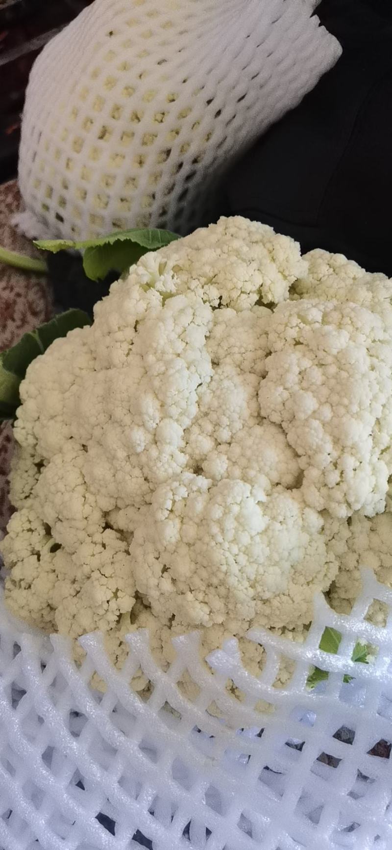 甘肃兰州有机菜花，小米粒