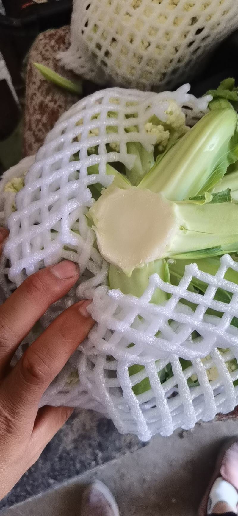 甘肃兰州有机菜花，小米粒