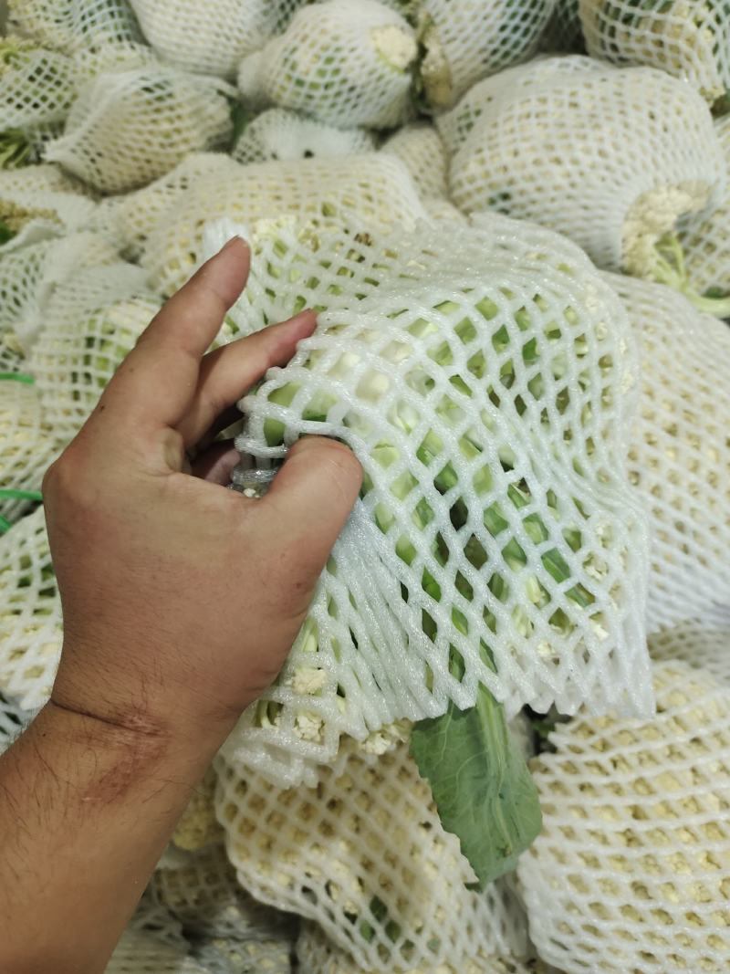 河南开封通许松花菜青梗白面，小米粒支持商超电商，社区团购
