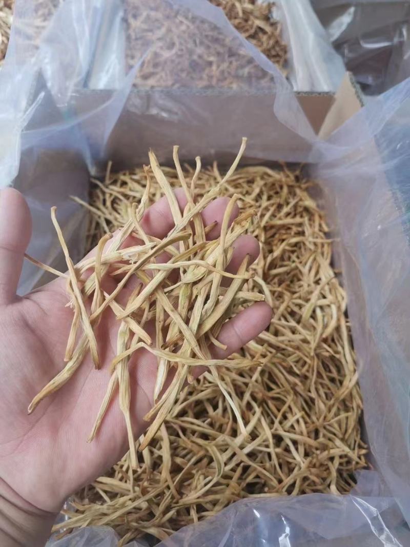 新黄花菜，一级菜，粗白直条菜，产地直销，欢迎合作代理