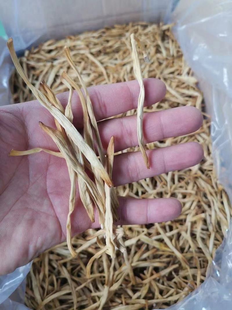 新黄花菜，一级菜，粗白直条菜，产地直销，欢迎合作代理