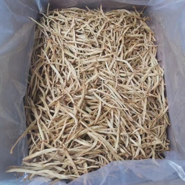 新黄花菜，一级菜，粗白直条菜，产地直销，欢迎合作代理