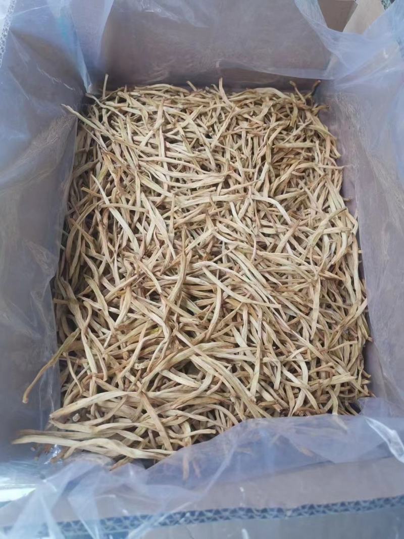 新黄花菜，一级菜，粗白直条菜，产地直销，欢迎合作代理