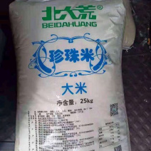 珍珠米