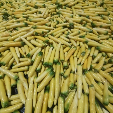 精品齐头黄胡萝卜，150克以上，大量接单，欢迎来电咨询