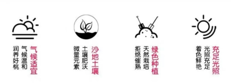 北京正宗平谷大桃黄蟠桃京津翼活动价包邮活动特价