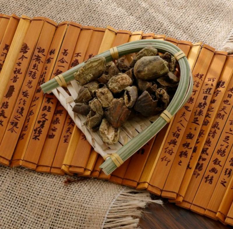 柯子肉统装500g产地山东振兴药材购销站量大从