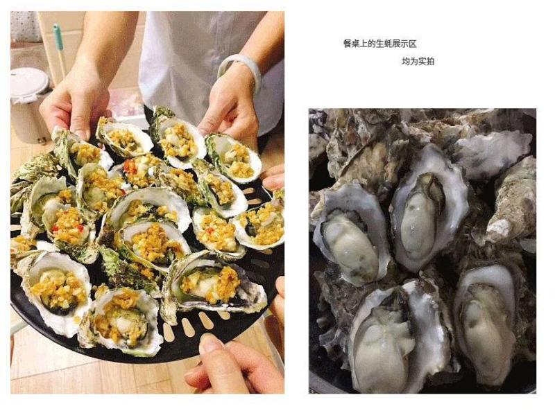 【仅发广东】生蚝鲜活一箱新鲜大牡蛎海蛎子海鲜水产烧烤食材