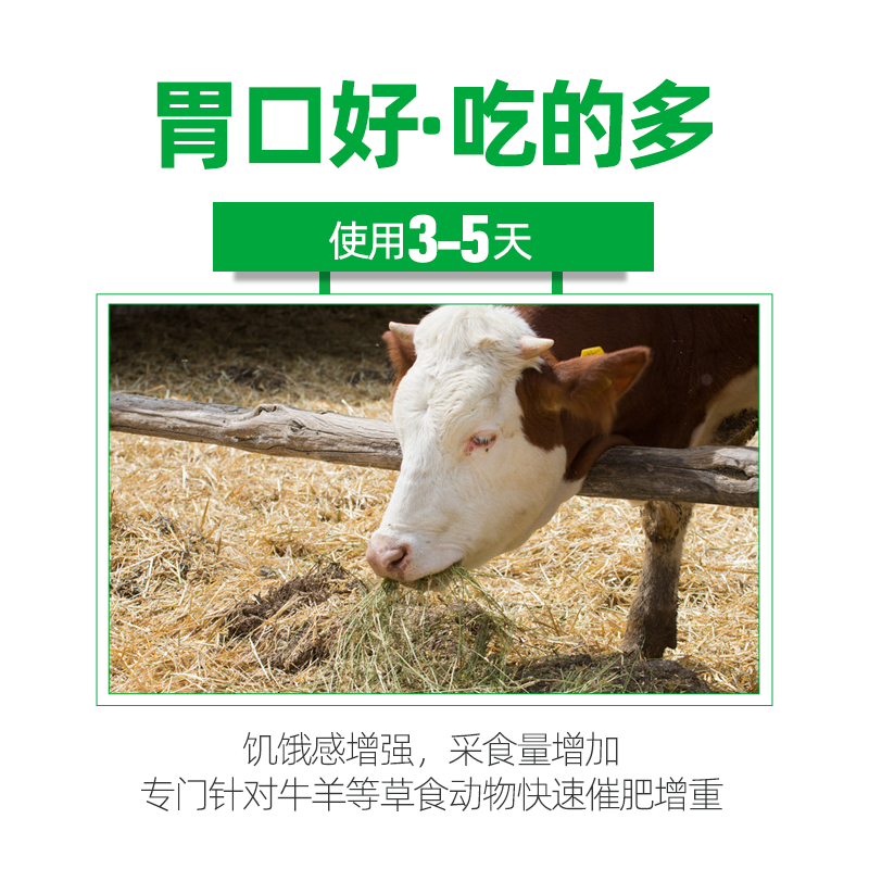 牛促进反刍增强胃动力，健胃养胃，调理肠道，促进消化吸收
